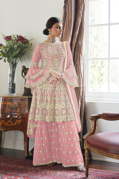 Soft Premium Net Sharara in Light Pink  with Embeodiery work